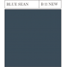 B 11 BLUE SEAN