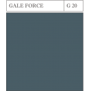 G 20 GALE FORCE