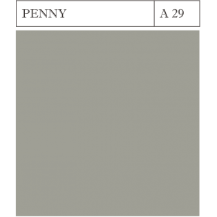 A 29 PENNY