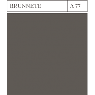A 77 BRUNETTE
