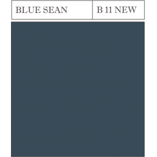 B 11 BLUE SEAN