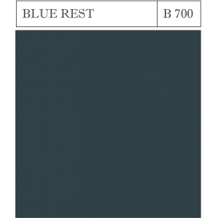 B 700 BLUE REST