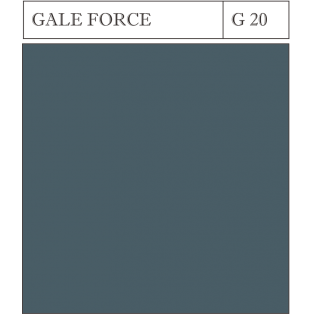 G 20 GALE FORCE