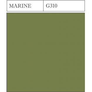 G 310 MARINE