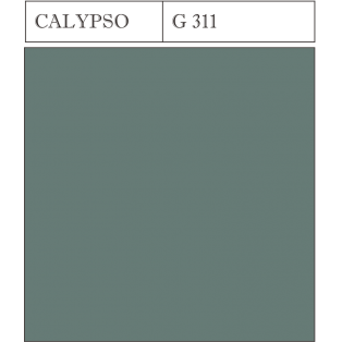 G311 CALYPSO