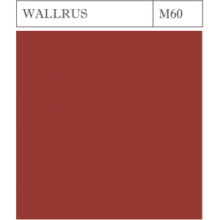 M 60 WALRUS