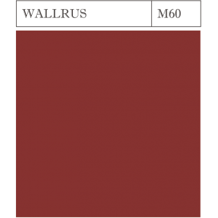 M 60 WALRUS