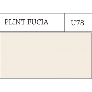 PLINT FUCIA 20X10